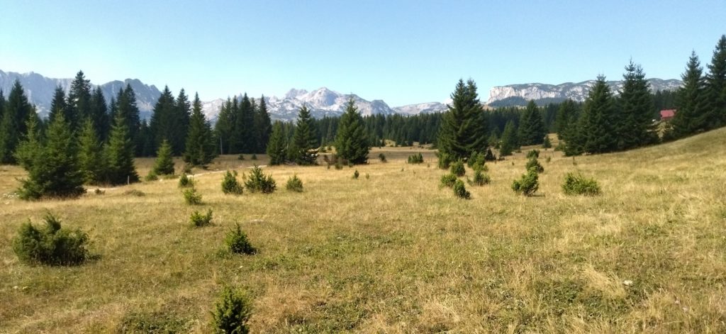 L'altopiano del Durmitor