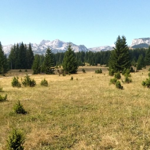 L'altopiano del Durmitor