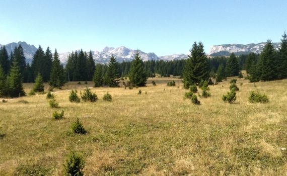 L'altopiano del Durmitor