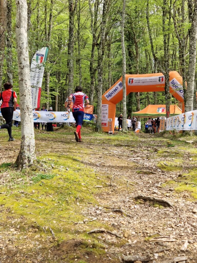 Il rettilineo di arrivo della Foresta Umbra